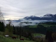 Green hills with grazing cows, foggy valley, and snow-capped mountains under a cloudy sky.