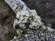 Crystalline ice formations on moss-covered rock with blurred natural background.