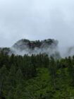 Misty mountain with dense pine trees and a thin waterfall on a rocky cliff under gray sky