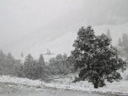 Snowfall over a snow-covered tree in the foreground with a church and trees on a hill in the background.