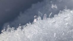 Close-up of ice crystals with hexagonal and columnar shapes on a snowy surface against a blurred background